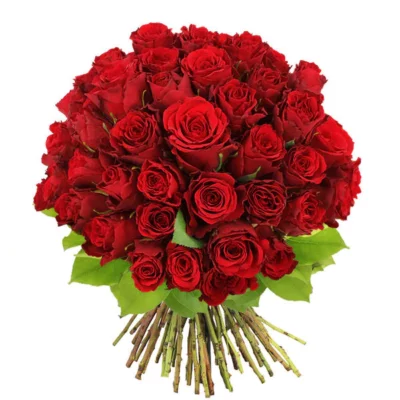 Bouquet de roses
